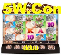 dduu.com